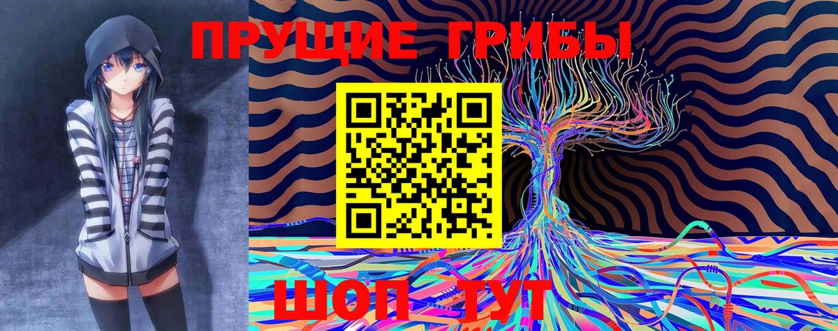 Галлюциногенные грибы Psilocybe  Вход с VPN  Кольчугино 