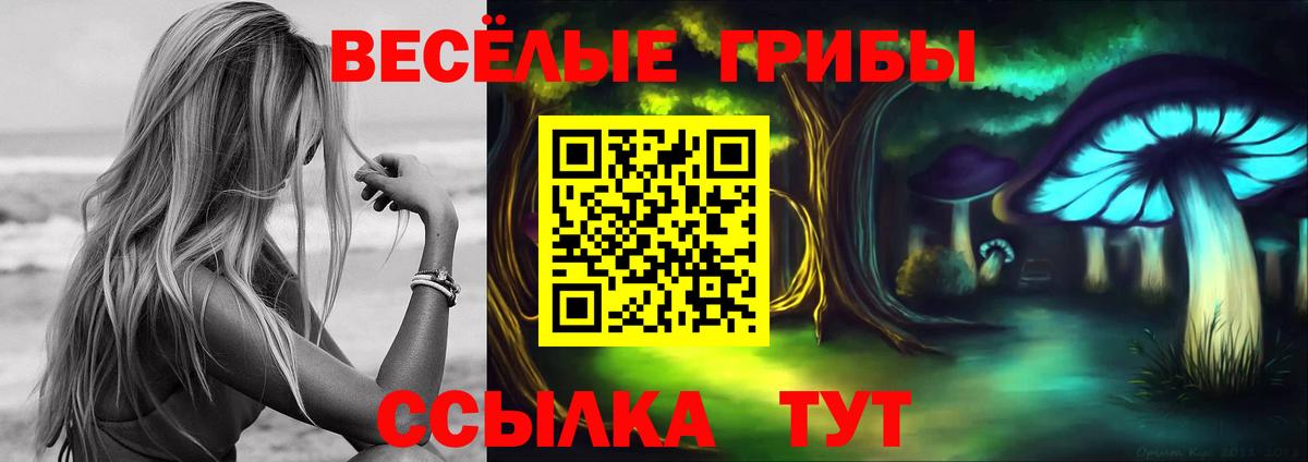 Галлюциногенные грибы прущие грибы Кольчугино